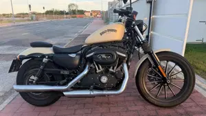 Harley-Davidson 883 Iron (2012 - 14) - XL 883N  (6)