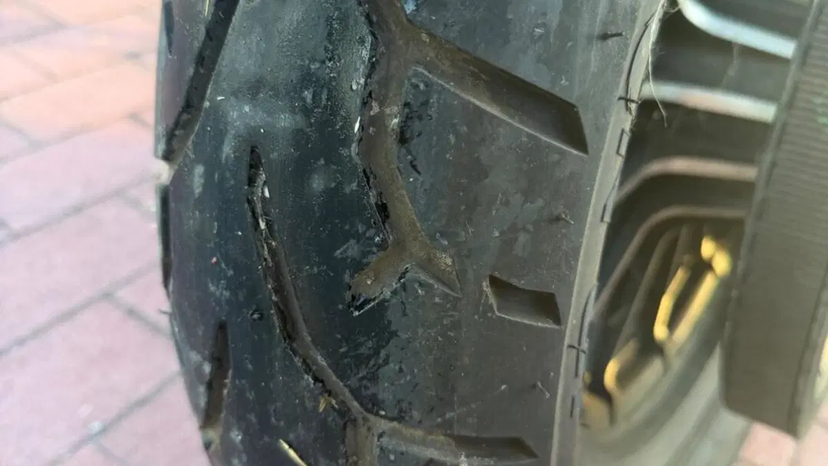 Harley-Davidson 883 Iron (2012 - 14) - XL 883N  (7)