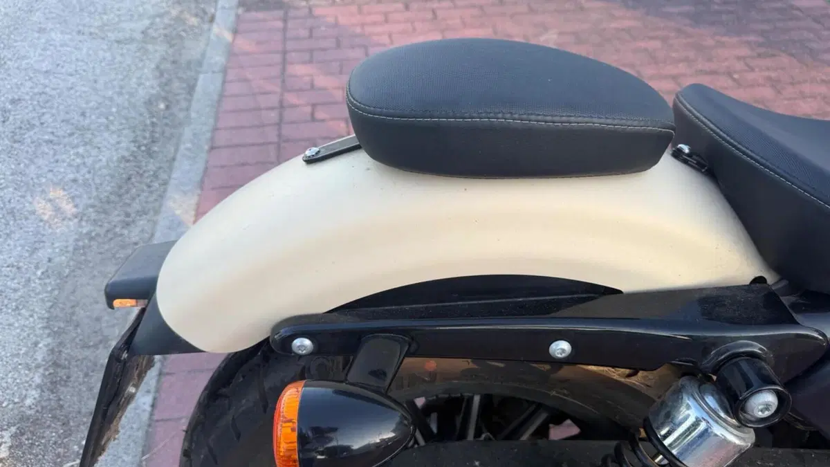 Harley-Davidson 883 Iron (2012 - 14) - XL 883N  (8)