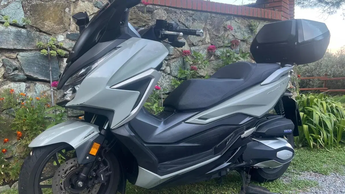 Honda Forza 350 Deluxe (2022 - 24) 