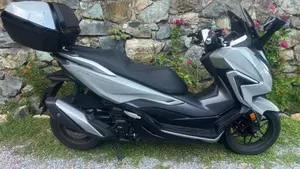 Honda Forza 350 Deluxe (2022 - 24)  (2)