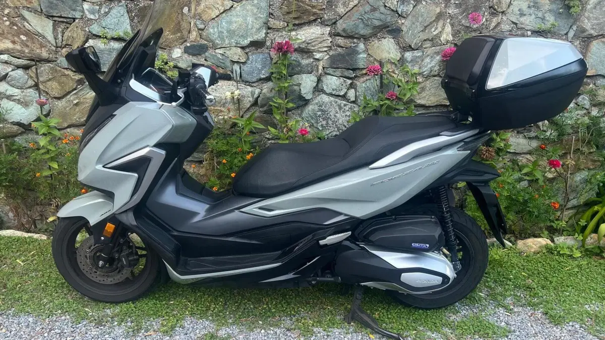 Honda Forza 350 Deluxe (2022 - 24)  (3)
