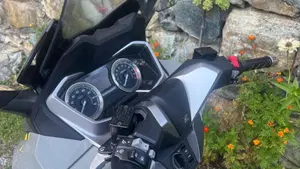 Honda Forza 350 Deluxe (2022 - 24)  (6)