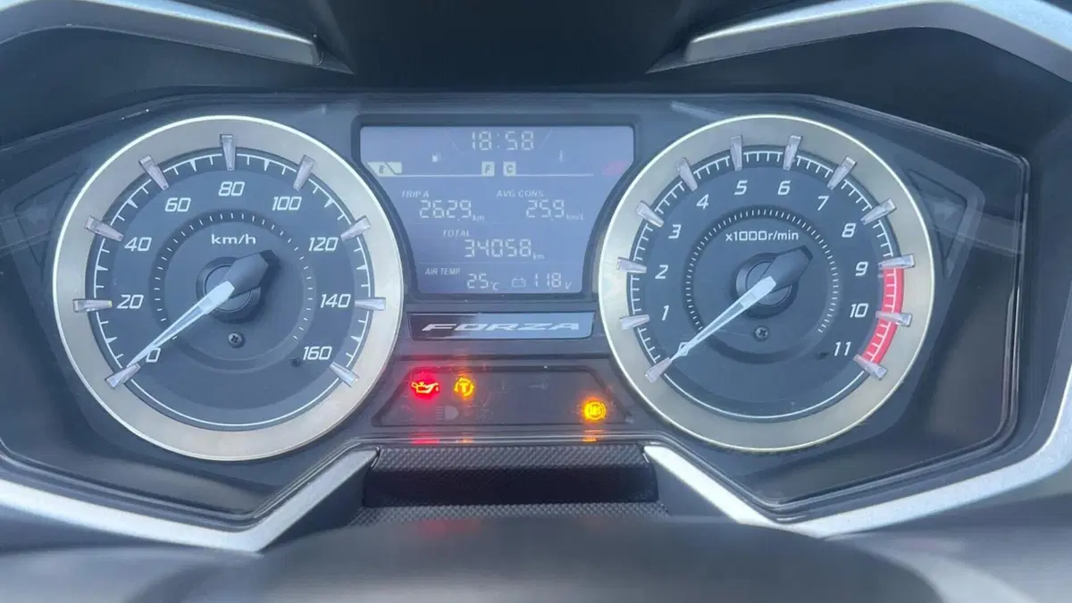 Honda Forza 350 Deluxe (2022 - 24)  (7)