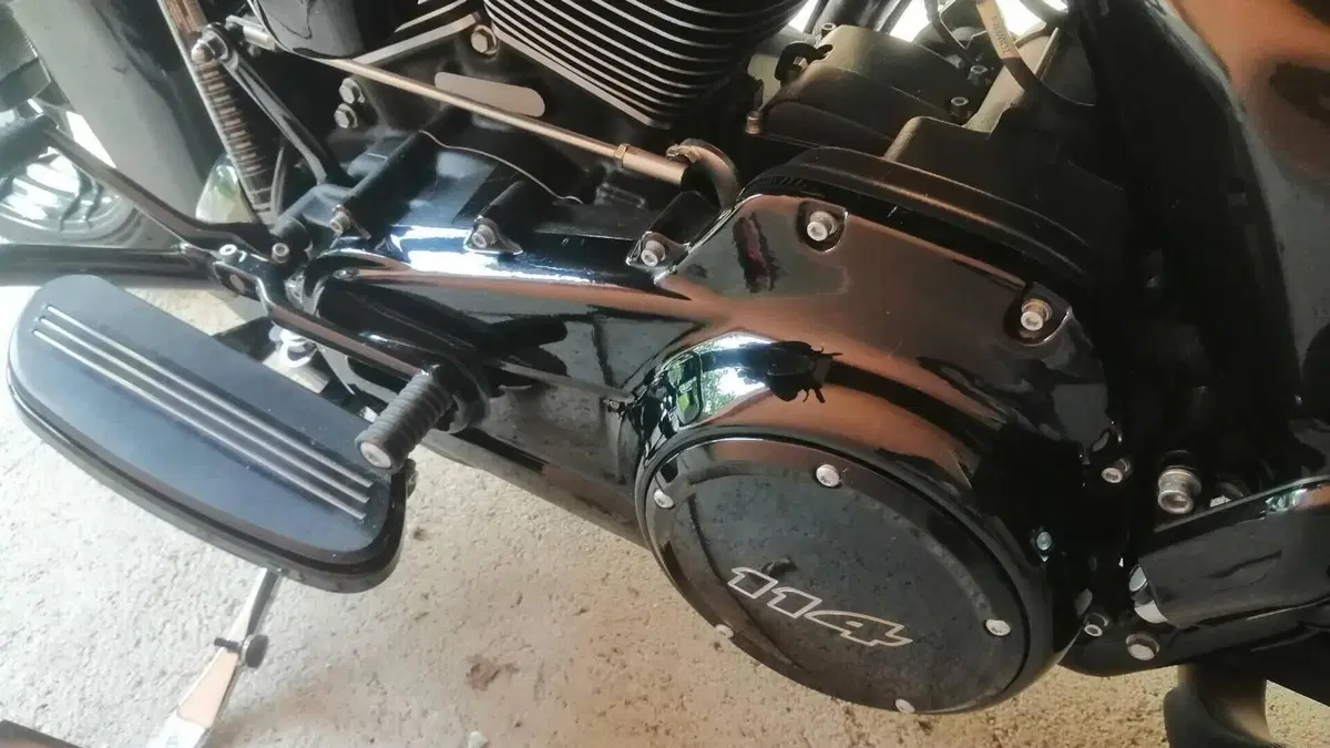 Harley-Davidson 114 Street Glide Special (2019 - 20) - FLHXS  (2)