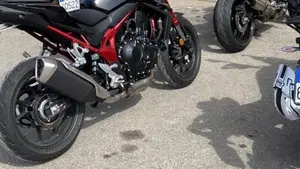 Honda CB 750 Hornet (2023 - 24)  (3)