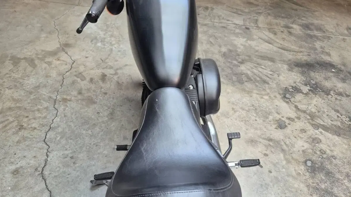 Harley-Davidson 883 Iron (2009 - 11) - XL 883N  (4)