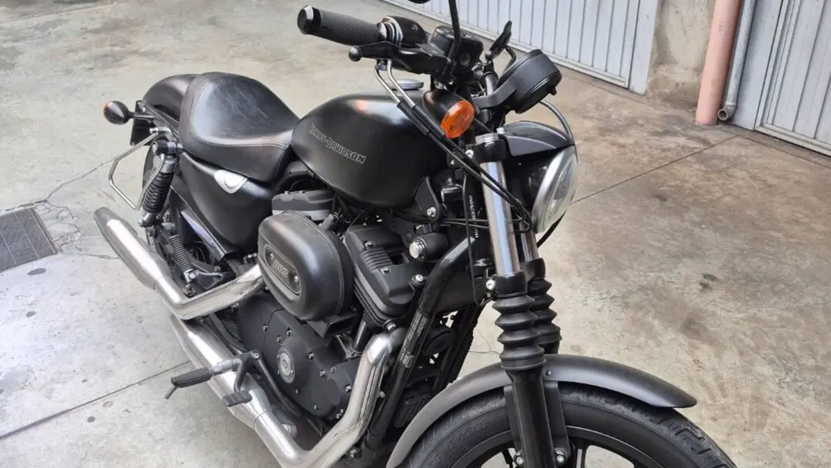 Harley-Davidson 883 Iron (2009 - 11) - XL 883N  (5)