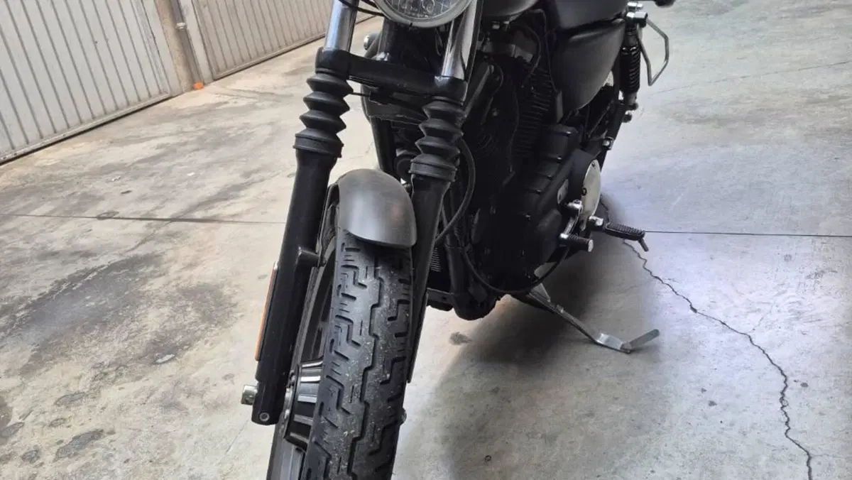 Harley-Davidson 883 Iron (2009 - 11) - XL 883N  (6)