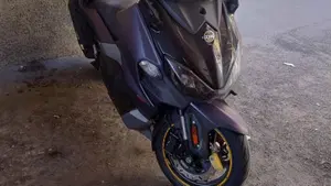 Sym Maxsym TL 508 (2021 - 24) 