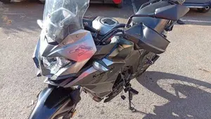 Kawasaki Versys-X 300 Urban (2017 - 19)  (3)