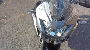 Kawasaki Versys-X 300 Urban (2017 - 19)  (7)
