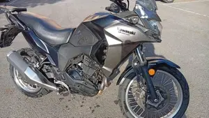Kawasaki Versys-X 300 Urban (2017 - 19)  (9)