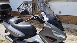 Malaguti Madison 250 RS (2005 - 06)  (2)