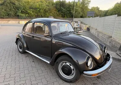 Volkswagen Maggiolino  (2)