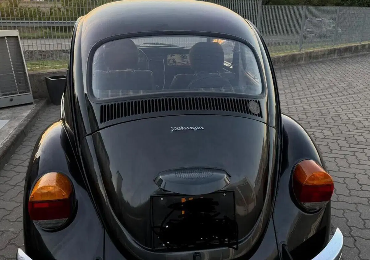 Volkswagen Maggiolino  (3)