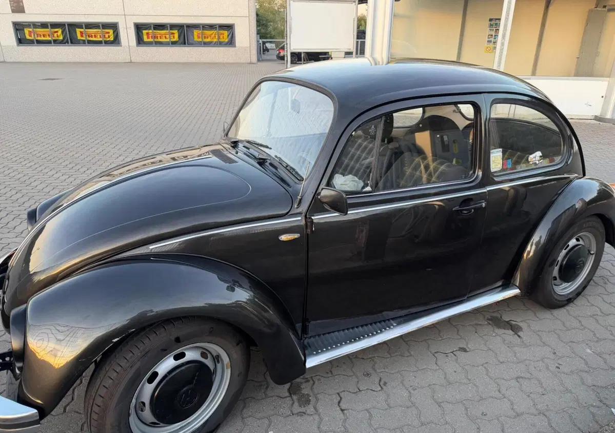 Volkswagen Maggiolino  (4)