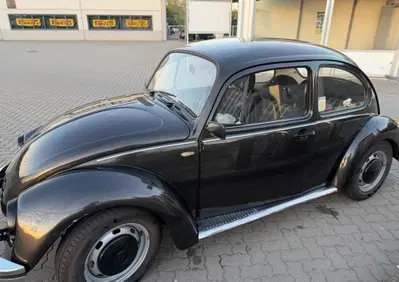 Volkswagen Maggiolino  (4)