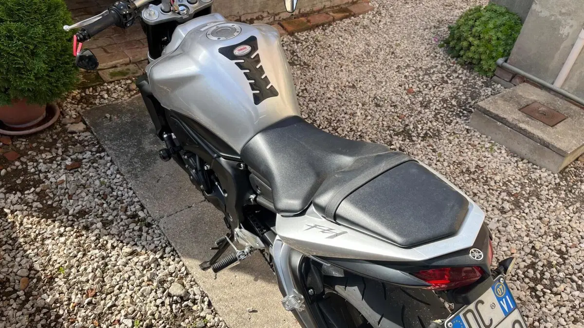 Yamaha FZ1 (2006 - 16)  (6)