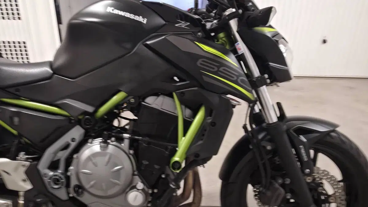 Kawasaki Z 650 (2017 - 19)  (4)