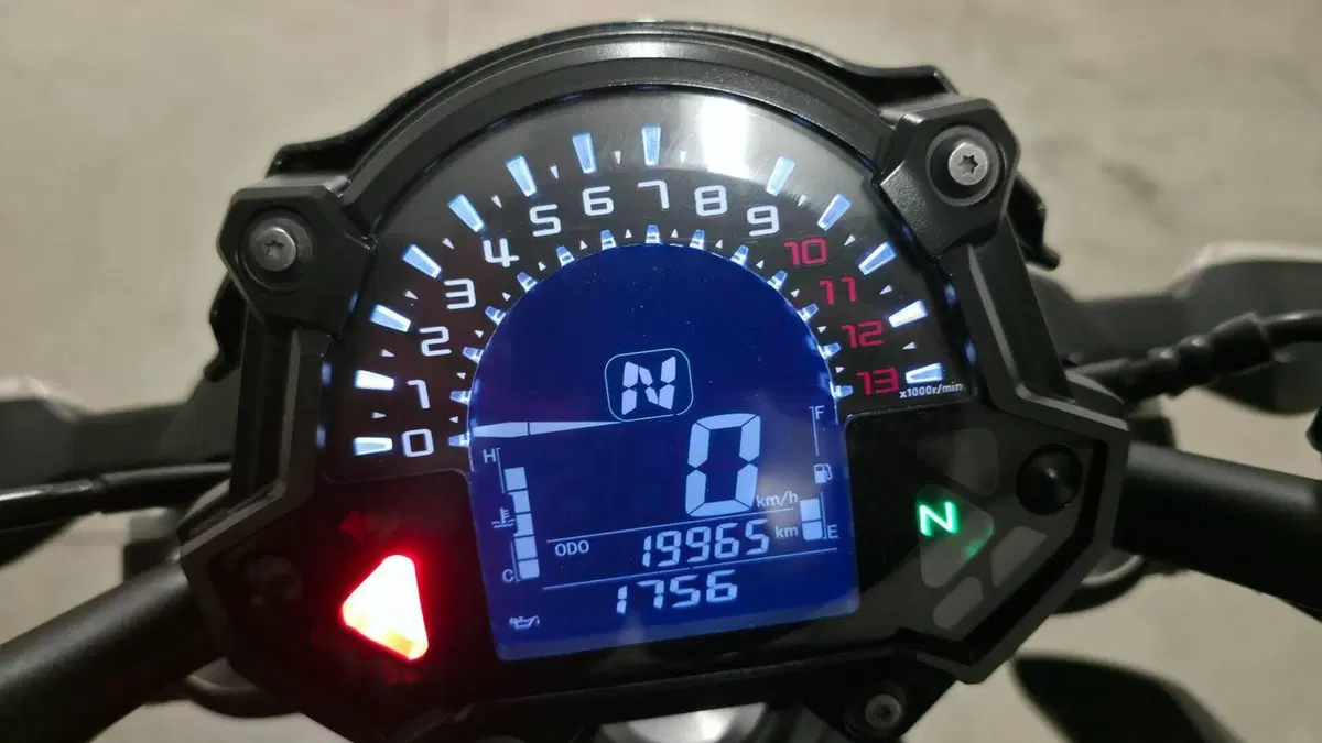 Kawasaki Z 650 (2017 - 19)  (7)