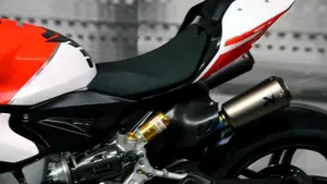 Ducati 1299 Panigale (2015 - 17)  (6)