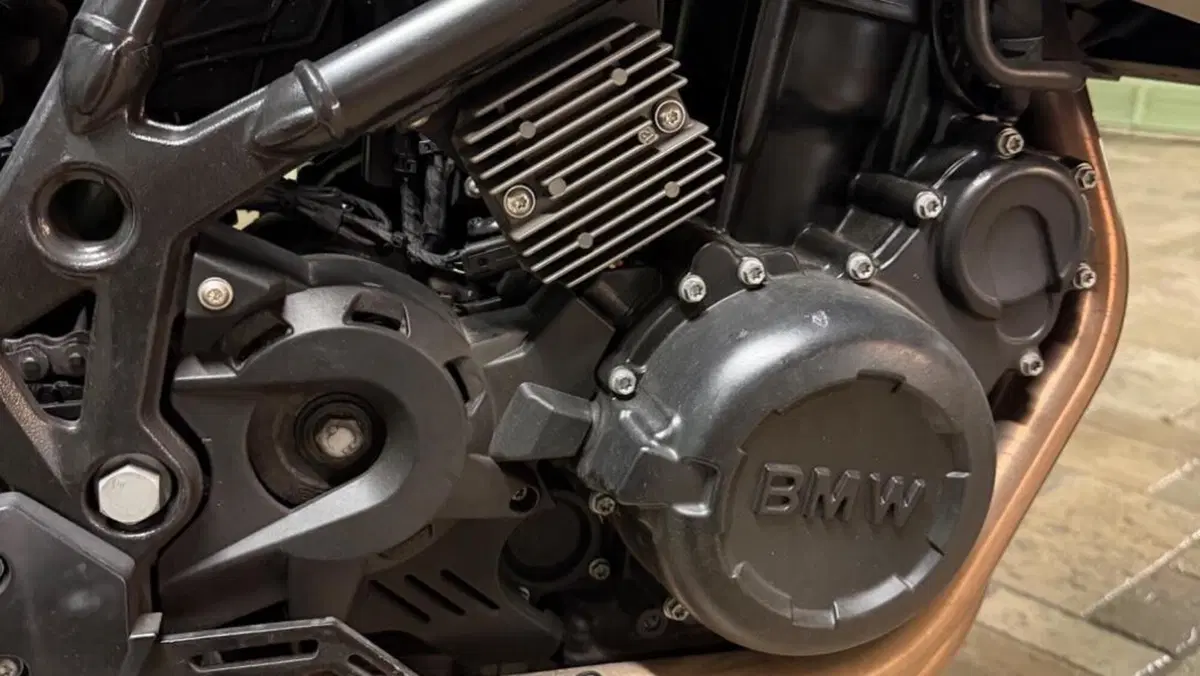 Bmw F 650 GS (2008 - 12)  (11)