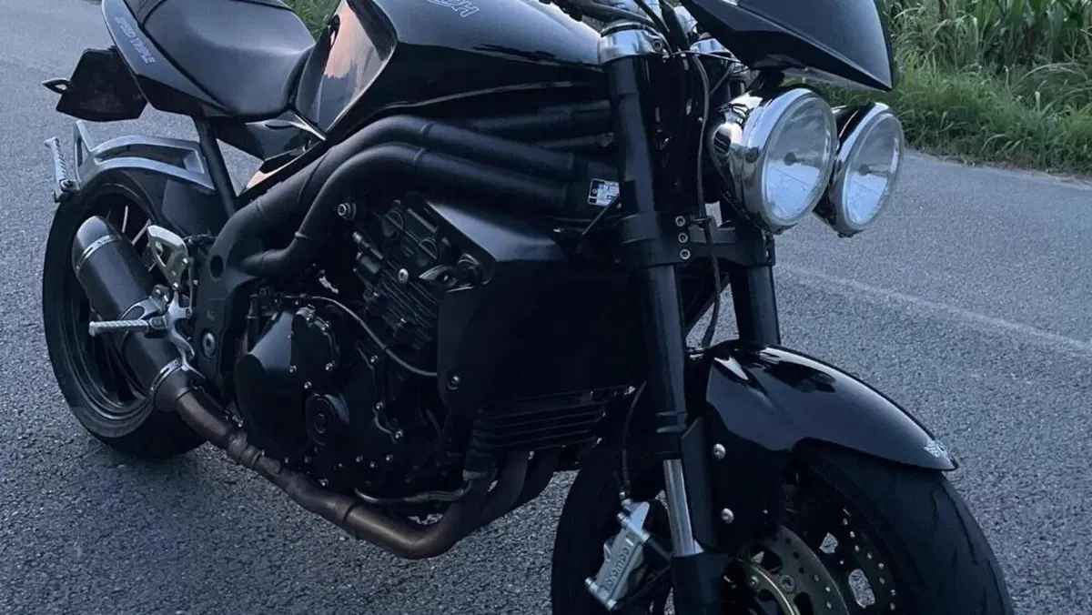 Triumph Speed Triple 1050 (2005 - 11)  (2)