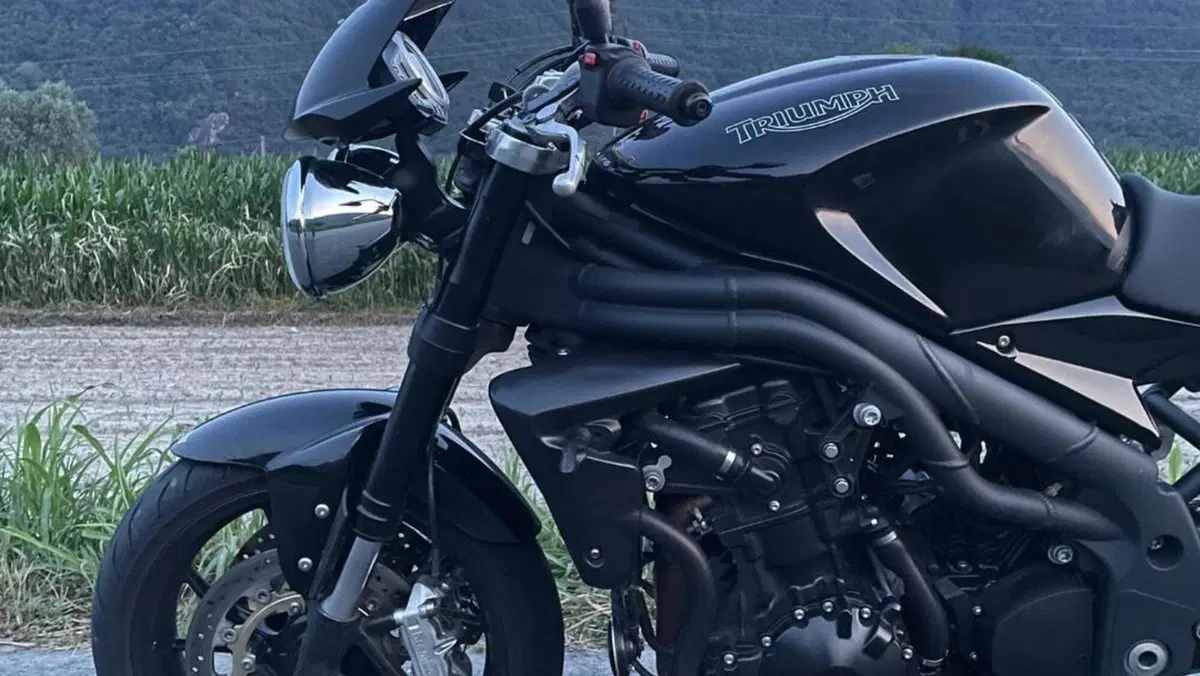 Triumph Speed Triple 1050 (2005 - 11)  (4)