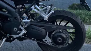 Triumph Speed Triple 1050 (2005 - 11)  (5)