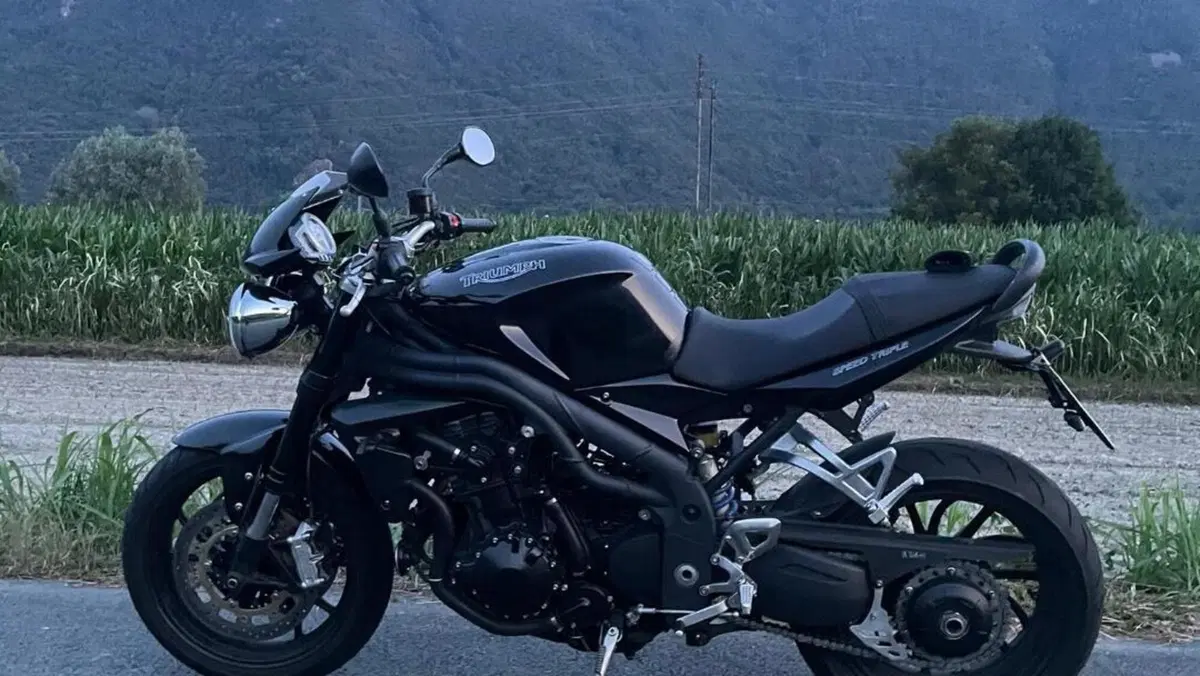 Triumph Speed Triple 1050 (2005 - 11)  (7)