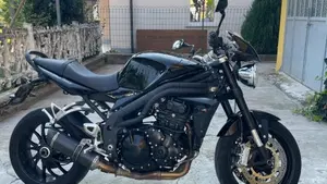 Triumph Speed Triple 1050 (2005 - 11)  (8)