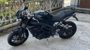 Triumph Speed Triple 1050 (2005 - 11)  (9)