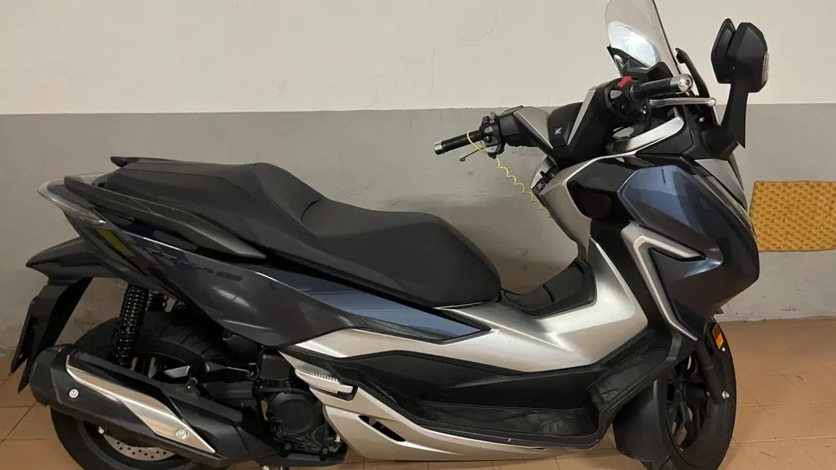 Honda Forza 300 ABS (2018 - 20)  (2)