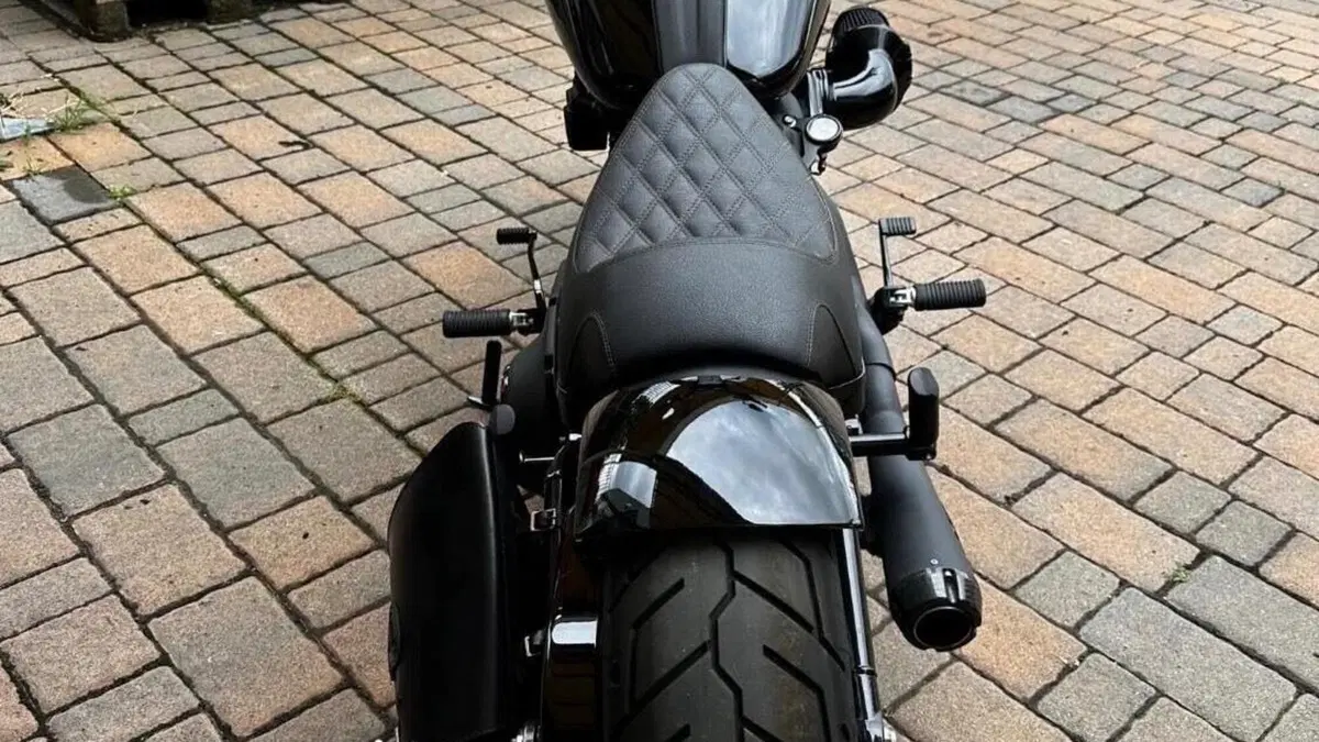 Harley-Davidson 114 Low Rider S (2021) - FXLRS  (5)