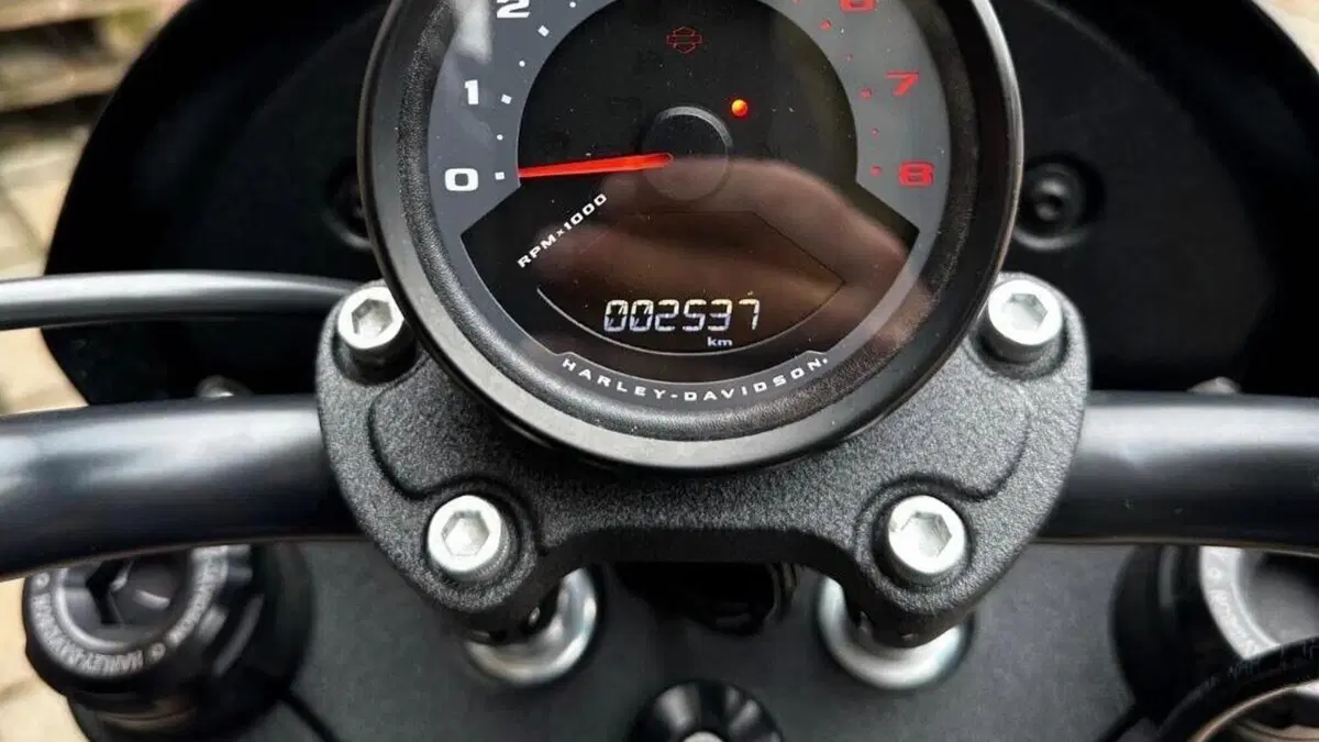 Harley-Davidson 114 Low Rider S (2021) - FXLRS  (6)