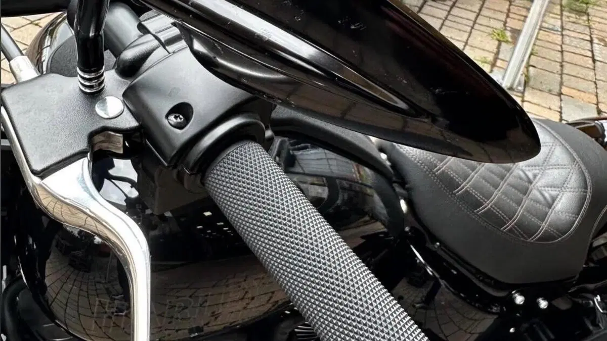 Harley-Davidson 114 Low Rider S (2021) - FXLRS  (7)