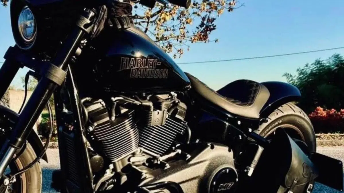 Harley-Davidson 114 Low Rider S (2021) - FXLRS  (9)