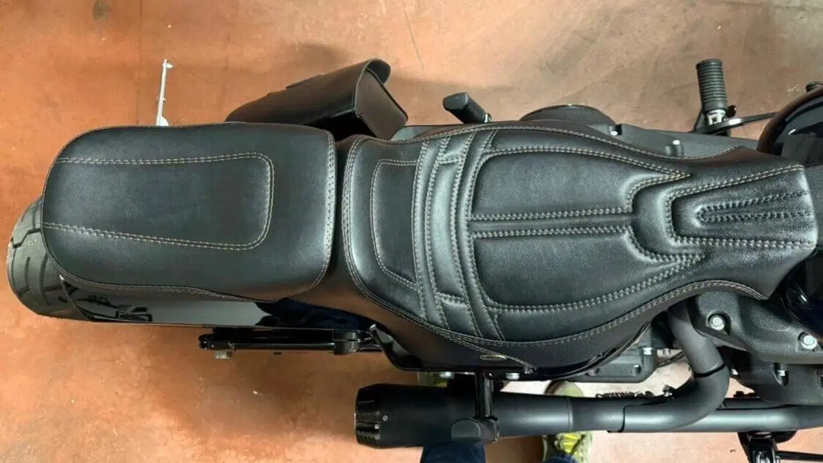 Harley-Davidson 114 Low Rider S (2021) - FXLRS  (12)