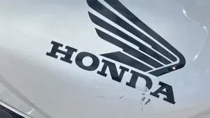 Honda Hornet 600 (2007 - 10)  (6)