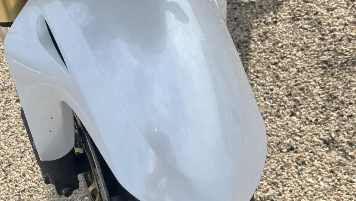 Honda Hornet 600 (2007 - 10)  (9)