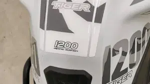 Triumph Tiger 1200 Alpine Edition (2020)  (7)