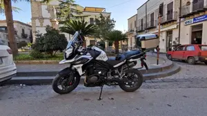 Triumph Tiger 1200 Alpine Edition (2020)  (9)