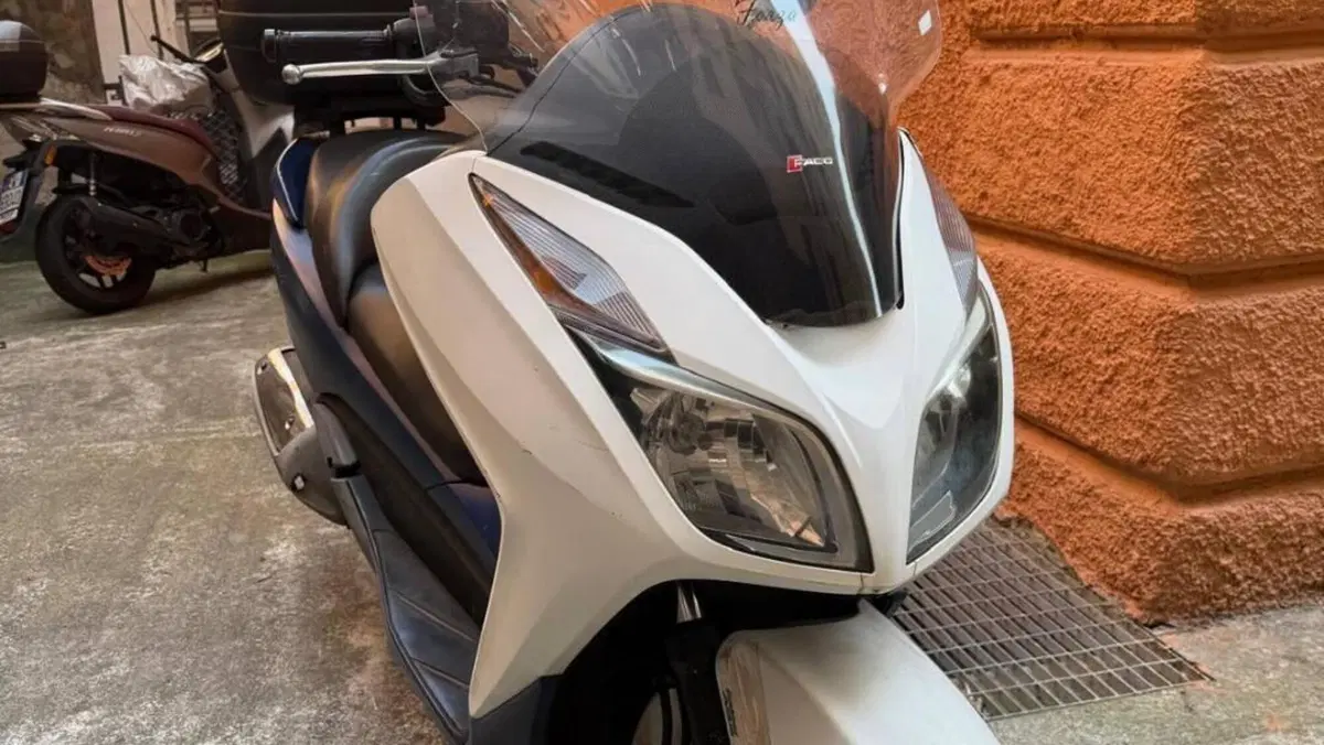 Honda Forza 300 ABS (2013 - 17)  (2)