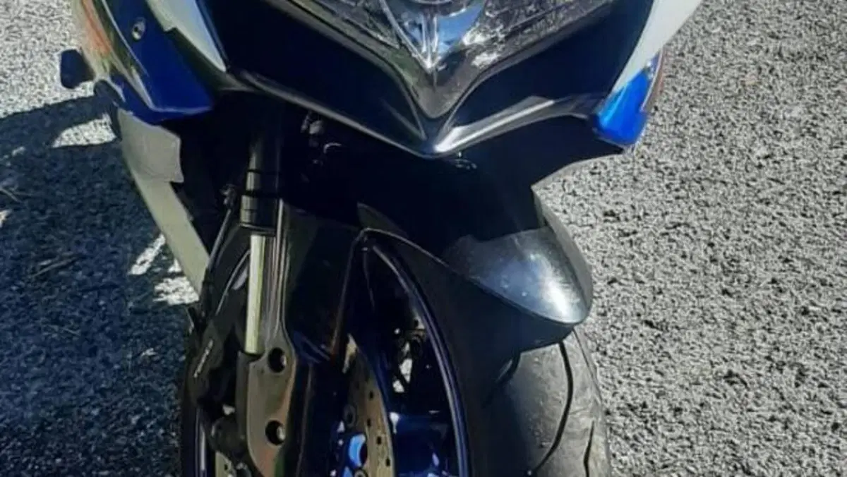 Suzuki GSX R 750 (2008 - 10)  (2)