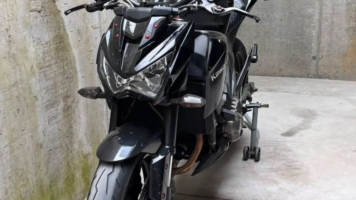 Kawasaki Z 800 (2012 - 13) 