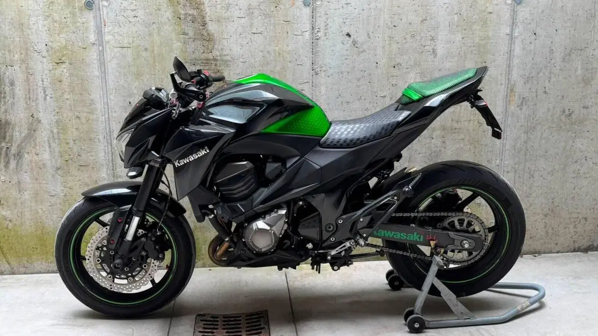 Kawasaki Z 800 (2012 - 13)  (3)