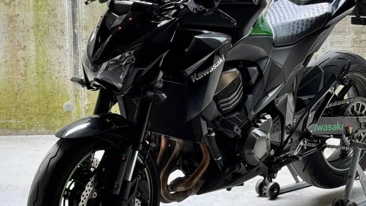 Kawasaki Z 800 (2012 - 13)  (7)