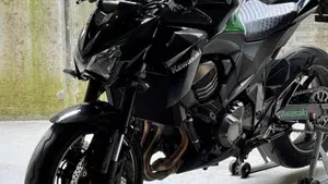 Kawasaki Z 800 (2012 - 13)  (7)