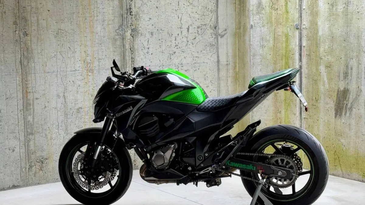 Kawasaki Z 800 (2012 - 13)  (6)